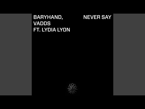 Never Say