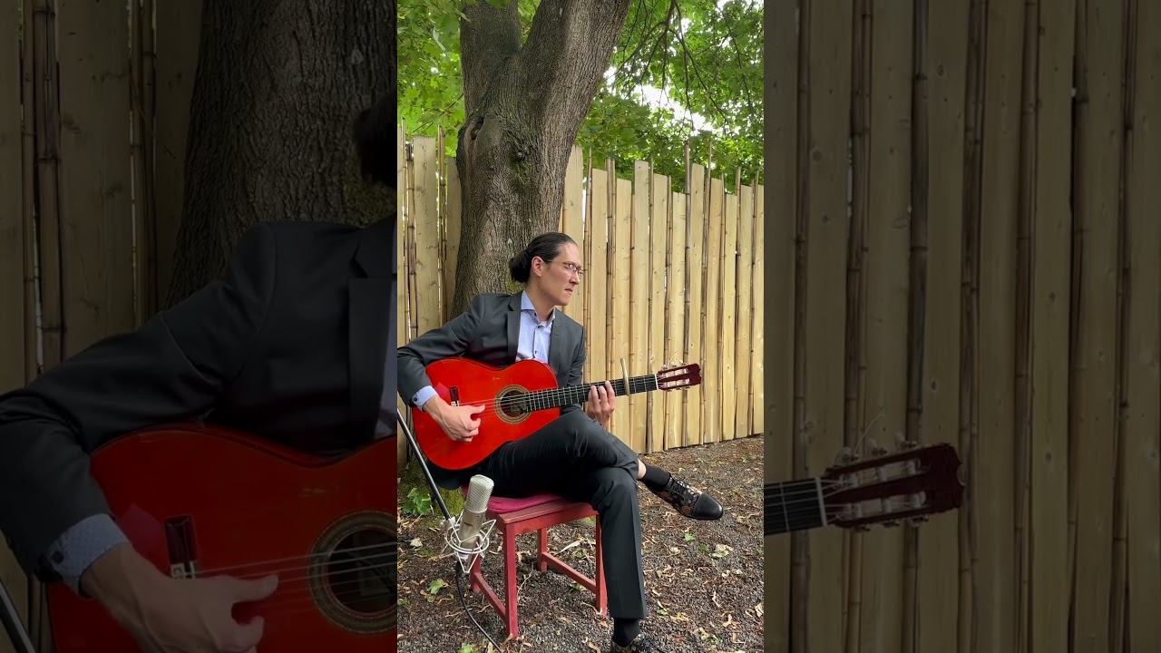Promotional video thumbnail 1 for Flamenco Guitarist and Singer