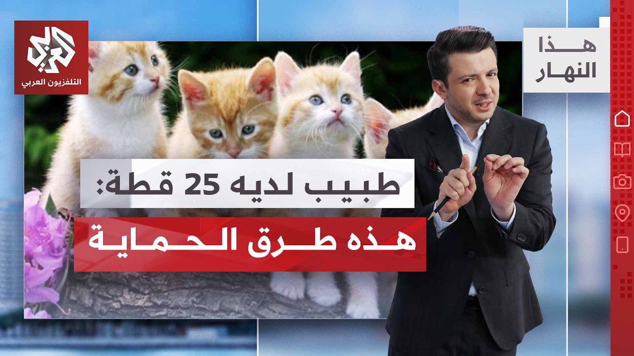 داء المقوسات.. كيف تحمي نفسك و حيوانك الأليف؟ | هذا النهار