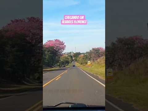Chegando em Álvares Florence SP