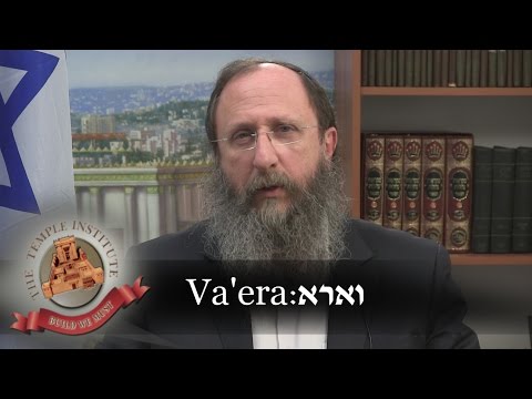 Weekly Torah Portion: Va'era