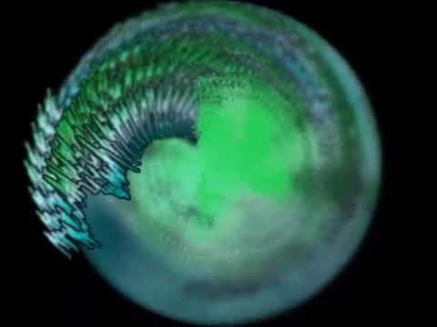 Spyridon Foundas - Hawaii