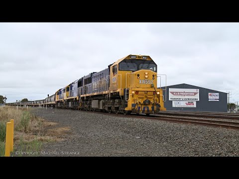 Triple XR's With Broad Gauge Pacific National Grain Train (29/1/2022) - PoathTV Australian Railways