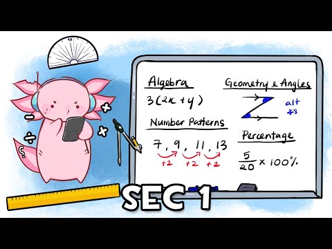 ULTIMATE GUIDE to O Level Math – ALL SEC 1 TOPICS