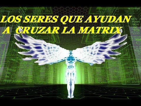 Seres de la LUZ que ayudan a cruzar la MATRIX