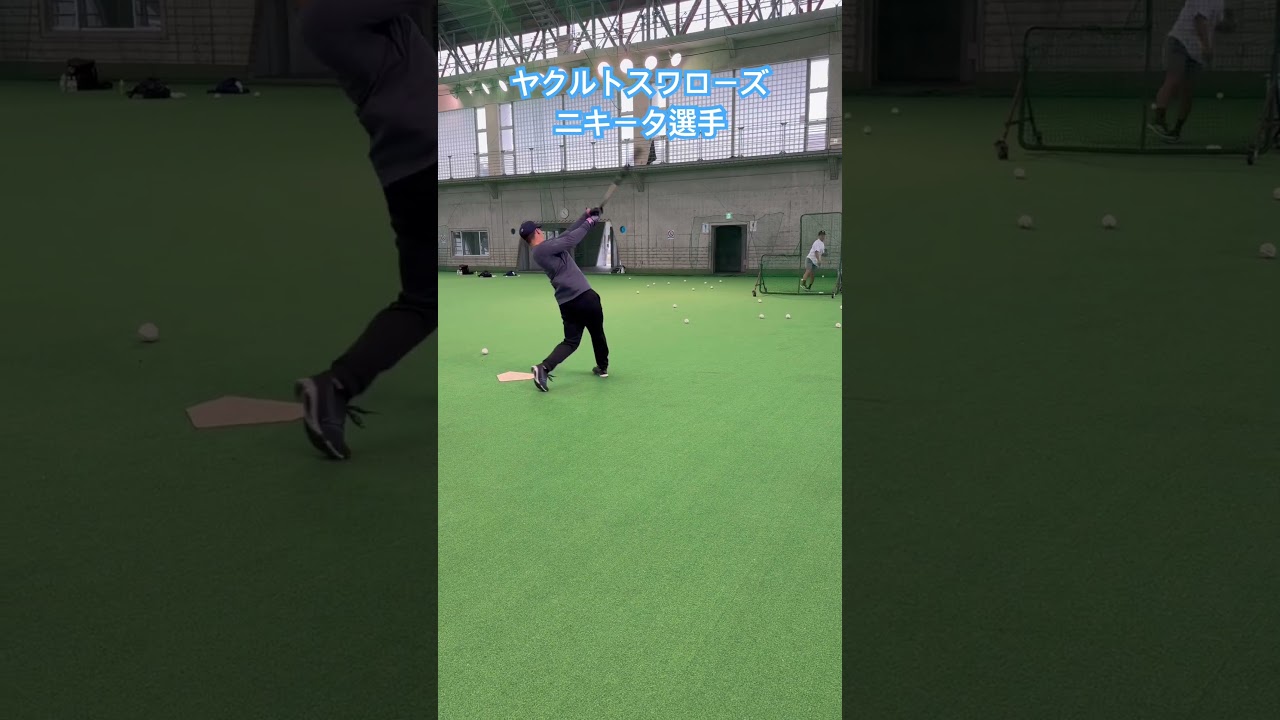 #ヤクルトスワローズ #ニキータ