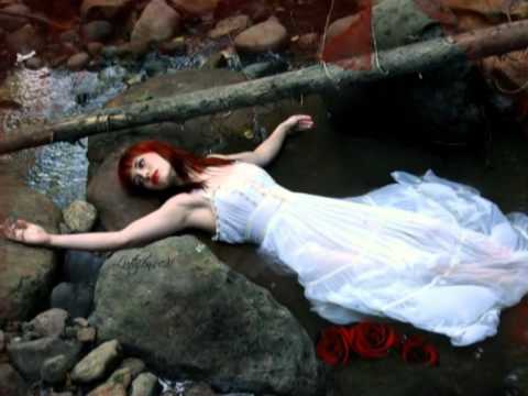 Wo die wilden Rosen blühen