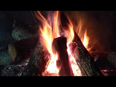 Tuesday Night Bonfire chat with Spidey and Rodd Thunderheart!