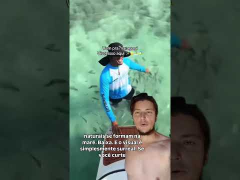 Maragogi: O Paraíso Escondido do Brasil! 🌴✨ Descubra a Magia das Piscinas Naturais!