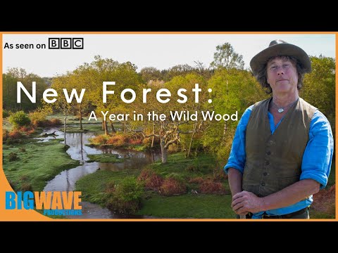New Forest: A Year in the Wild Wood (BBC Documentary)