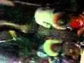 Video 0019