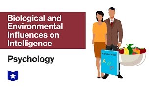 Biological and Environmental Influences on Intelligence | Psychology
