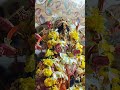 Holi Khele Maha Maiya Bhawan Mein Trending Viral Navratri Short Video Durga Mata WhatsApp Status