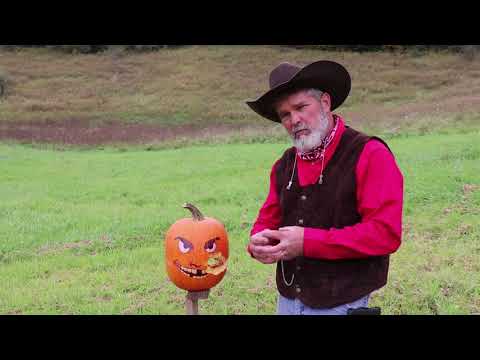 Stoeger Coach Gun Review. Cowboy action shotgun option as well as home defense use.