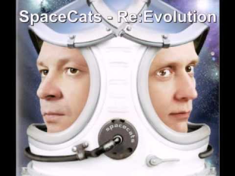 Spacecats - Re: Evolution