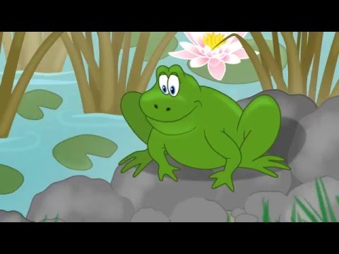 Buborék együttes - Béka koma (Videoklip pályázat 2015 - Csányi Nikolett, Linszter Robin)