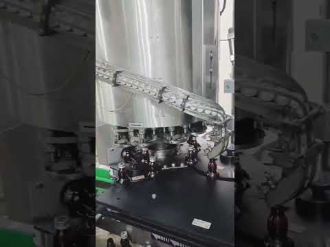 13 g glutathione, omega-3 fatty acid syrup, 200 ml