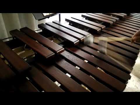 Inni di lode N°25: Padre celeste, nel nome santo Marimba Cover