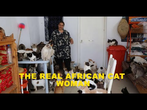 African Woman Creates Sanctuary for 400 Sick Cats and Dogs