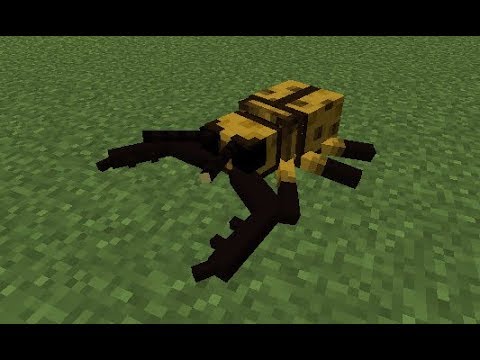 minecraft beetle build