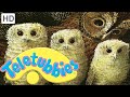 Teletubbies Owl Babies Full Episode