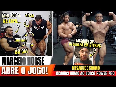 HORSE DA SEU TOP 3 NA EXPO, EXPOE MEDIDAS E SACA EM PODCAST! GNOMO E MESAQUE SHAPE ATUAL EVOLUINDO!
