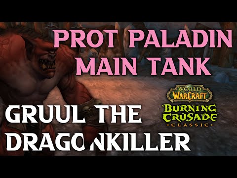Gruul the Dragonkiller - TBC Classic - Protection Paladin POV | Please Taunt - Arugal