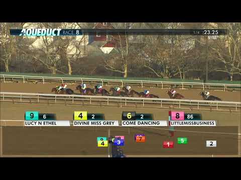 Divine Miss Grey - 2018 - The Interborough Stakes