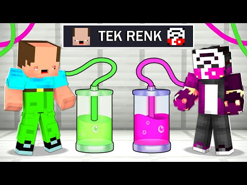 BALON KAFA İLE TEK RENK YAPI KAPIŞMASI !! - BalonCraft #603 - Minecraft