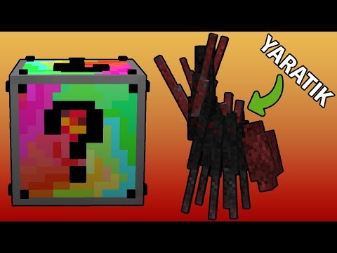 Minecraft Lucky Boss - Renkli Şans Blokları