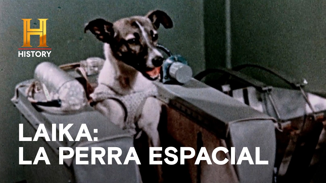 AVENTURAS EN LO DESCONOCIDO - INCREÍBLE CON DAN AYKROYD