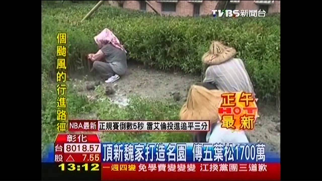 頂新魏家造園林 傳1棵黑松1700萬