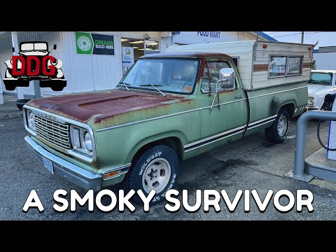 Don't Mind The Smell... I Bought An All Original 1977 Dodge D100 With A Vintage Camper Shell!