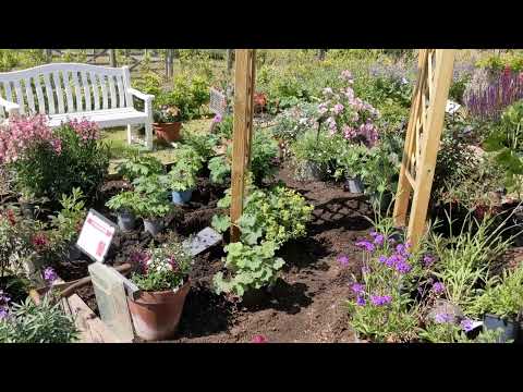 How to plant a Border part 1 - Laying out