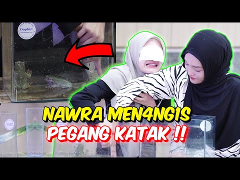 NAWRA MEN4ANGIS PEGANG KATAK !! - PERCAYA DAN AMBIL RISIKO !