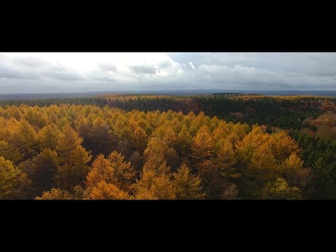 Sjöbo and its surroundings