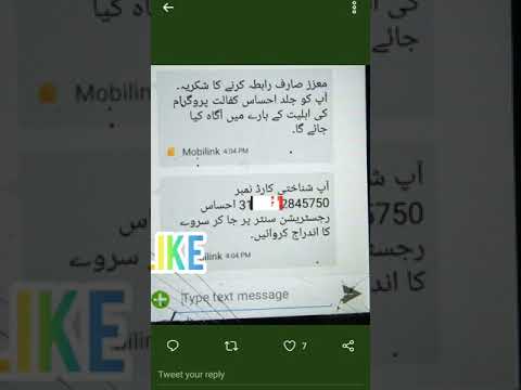 Check 8171 Ehsas Kafalat Program 12000