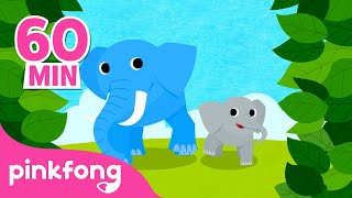 Download lagu Belajar Nama Binatang! | Gajah dan hewan lain | Lagu Anak Pendidikan | Pinkfong Baby Shark mp3 Download lagu Belajar Nama Binatang! | Gajah dan hewan lain | Lagu Anak Pendidikan | Pinkfong Baby Shark mp3