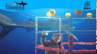 DIA 2 Expo Tiburon109