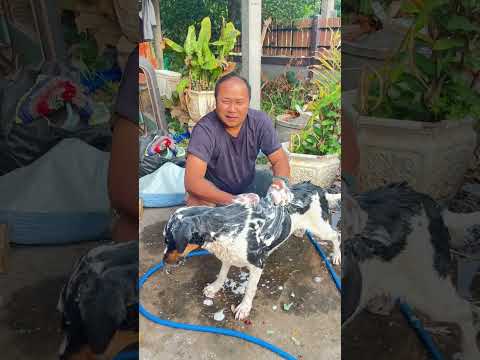 #yimjafamily #funny #ตลก #ขำขำ ก็มันหนาว