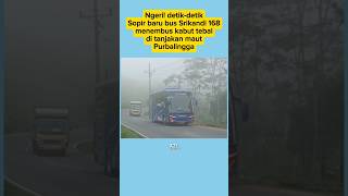 Download lagu Seram! detik2 bus 168 sopir baru test menembus kabut tebal di tanjakan maut #siaren #sitinjaulauik mp3