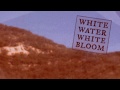 Sea Wolf - White Water, White Bloom vol.4