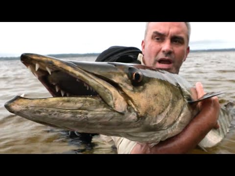 UN MOLOSSE AUX DENTS MORTELLES - Cyril Chauquet