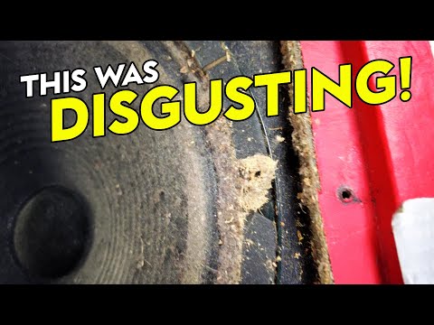 We Upgraded the WORST Guitar Cabinet in the WORLD!!!