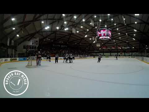 Sebastian Vidmar (Union) Goal (16:36 1st) 12/28/18