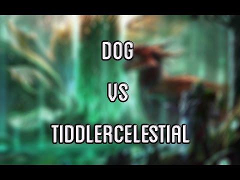 Dog vs TiddlerCelestial : Dreamhack 2015 Summer Finals
