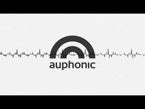 Setting Ringtones on the Blindshell Classic 2 Phone