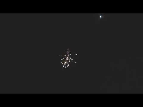 Shellscape SCBHQ06A   19s 25mm Blue Star & Silver Fish