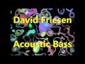David Friesen _ David's Dance (CD Four To Go, 1996)