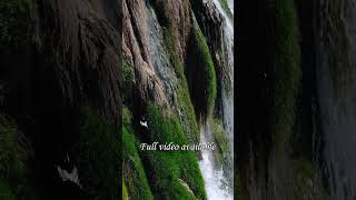 Vivaldi Summer in 432Hz 🎻 Your Brain Needs This #shorts